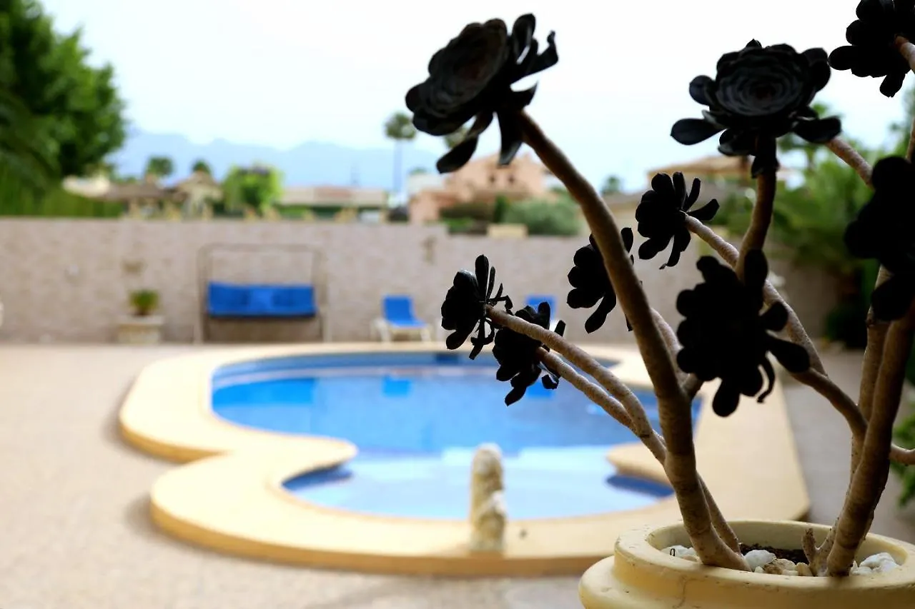 Villa Tres Palmeras muy cerca de Albir y Benidorm L'Alfas del Pi España