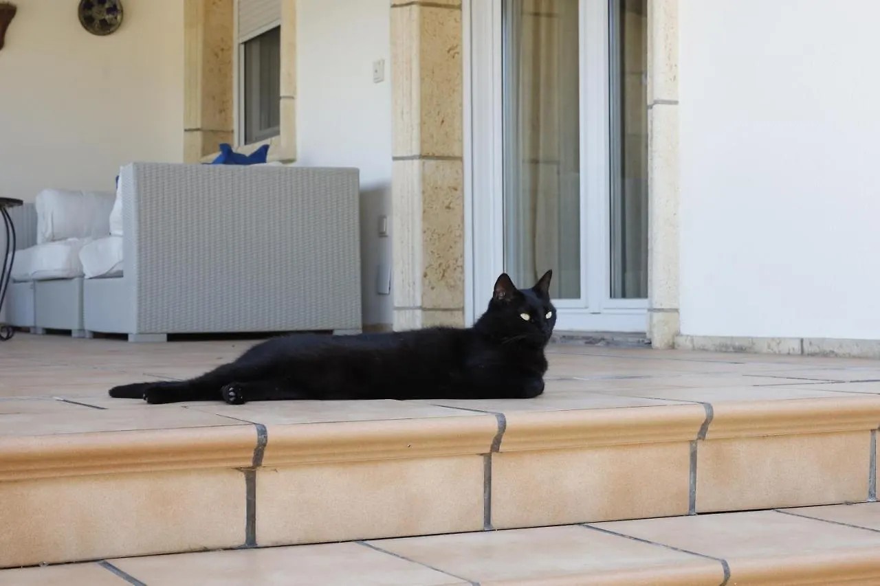 Villa Tres Palmeras En Alfaz Del Pi , Albir, Benidorm L'Alfas del Pi